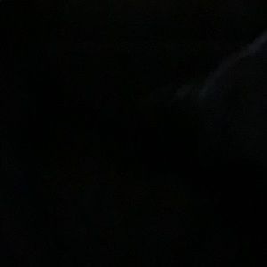 Meet your Posher, Roy